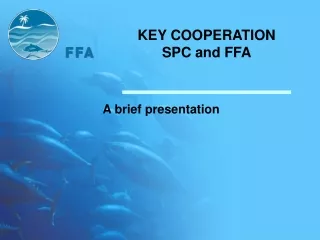 KEY COOPERATION SPC and FFA