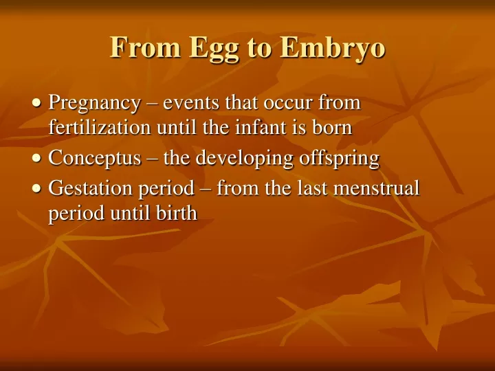 from egg to embryo