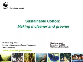 Sustainable Cotton: Making it cleaner and greener