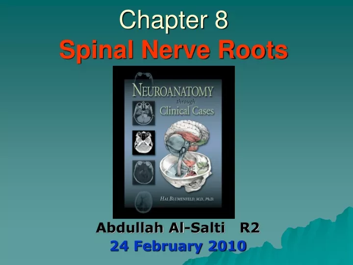 chapter 8 spinal nerve roots