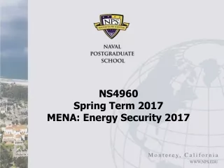 NS4960 Spring Term 2017 MENA: Energy Security 2017
