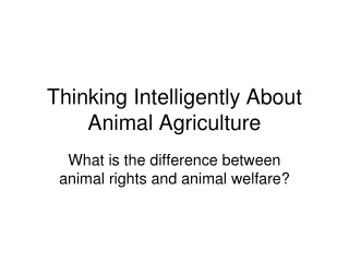 Thinking Intelligently About Animal Agriculture