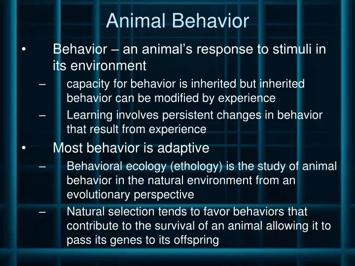 animal behavior