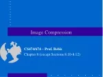 Efficient Image Compression Techniques: Balancing Data and Information Preservation - slide 1