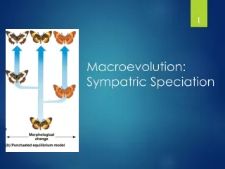 Macroevolution:  Sympatric Speciation
