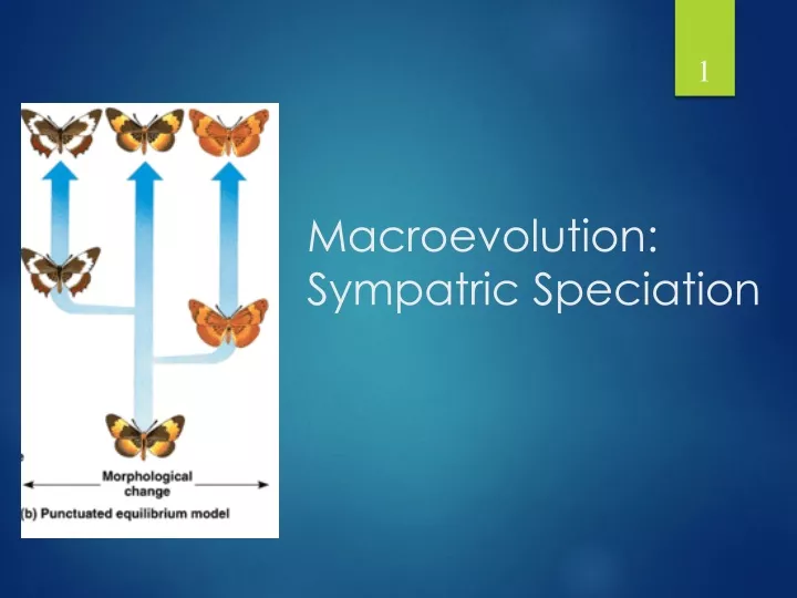 macroevolution sympatric speciation