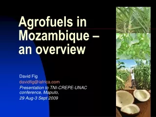 Agrofuels in Mozambique –  an overview