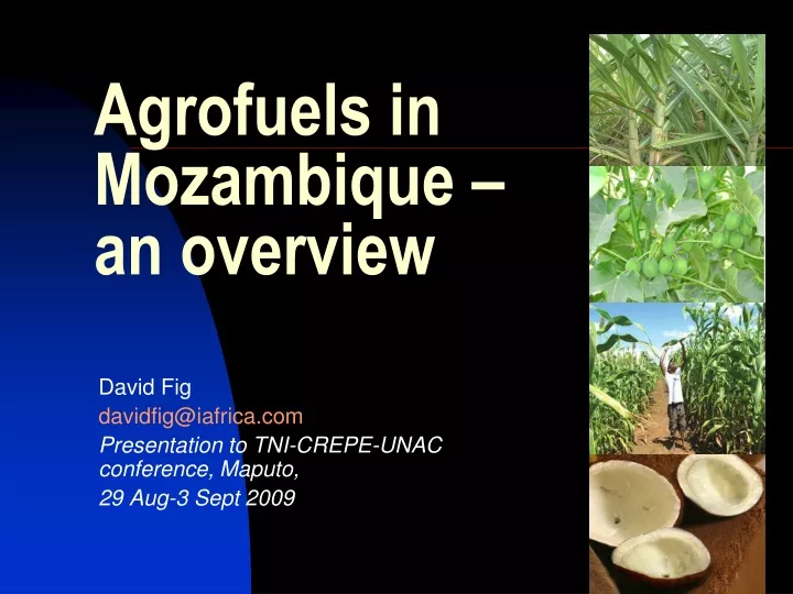 agrofuels in mozambique an overview
