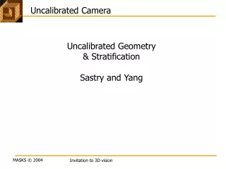 Uncalibrated Camera