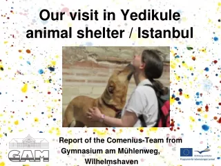 Our visit in Yedikule animal shelter / Istanbul