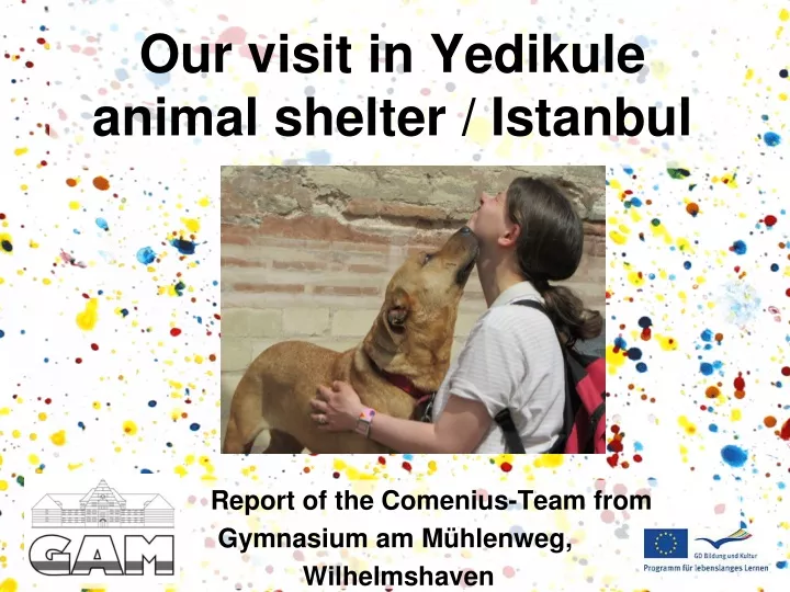 our visit in yedikule animal shelter istanbul