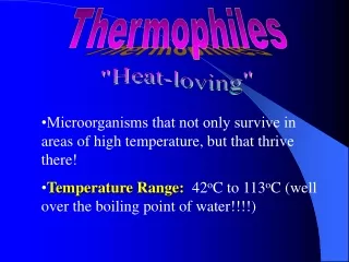 •Microorganisms that not only survive in areas of high temperature, but that thrive there!