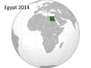 Egypt 2014