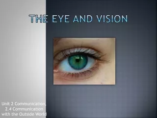 The Eye and Vision