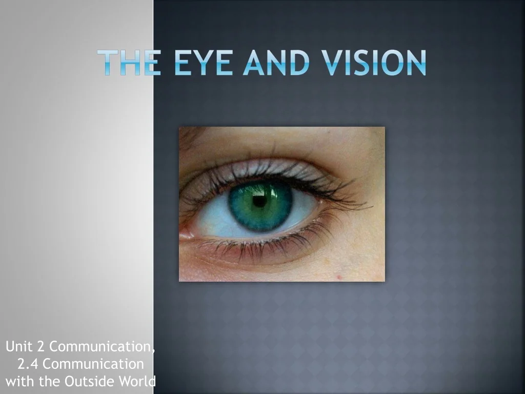 PPT - The Eye and Vision PowerPoint Presentation, free download - ID ...