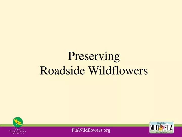 preserving roadside wildflowers