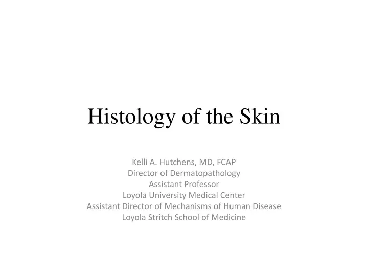 histology of the skin