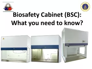 Biosafety Cabinet (BSC):  What you need to know?