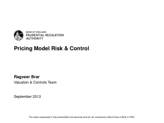 Pricing Model Risk &amp;  Control