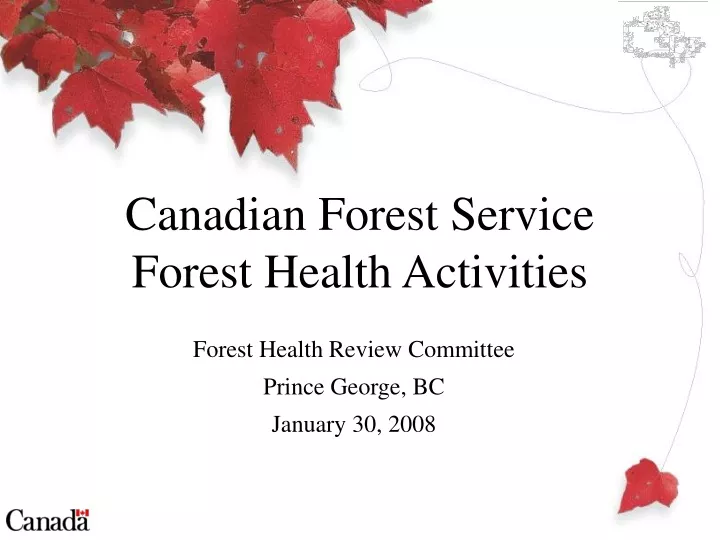forest health review committee prince george bc january 30 2008