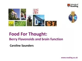 Food For Thought:  Berry Flavonoids and brain function