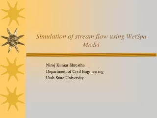 Simulation of stream flow using  WetSpa Model