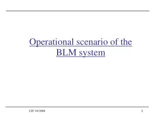Operational scenario of the BLM system