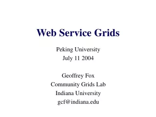 Web Service Grids