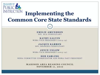 Implementing the  Common Core State Standards