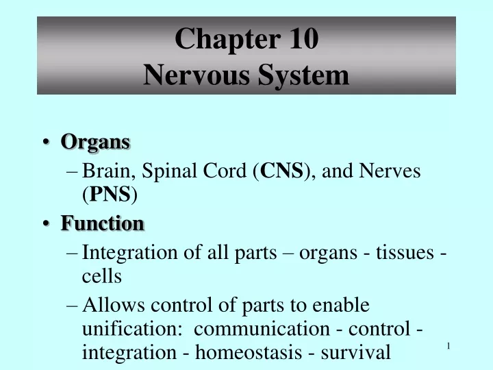 chapter 10 nervous system