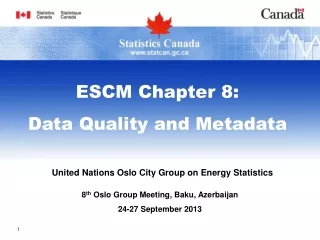 United Nations Oslo City Group on Energy Statistics