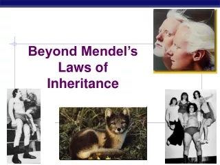 Beyond Mendel’s Laws of Inheritance