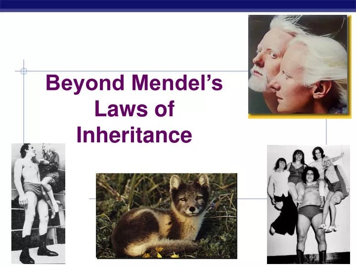 beyond mendel s laws of inheritance