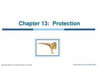 Chapter 13:  Protection