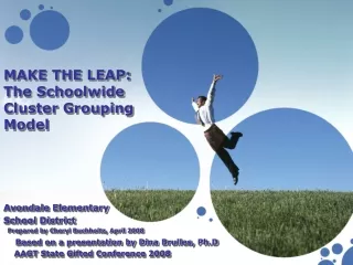 MAKE THE LEAP: The Schoolwide Cluster Grouping Model