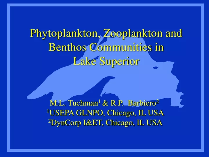 phytoplankton zooplankton and benthos communities