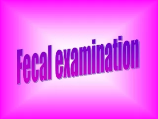 Fecal examination