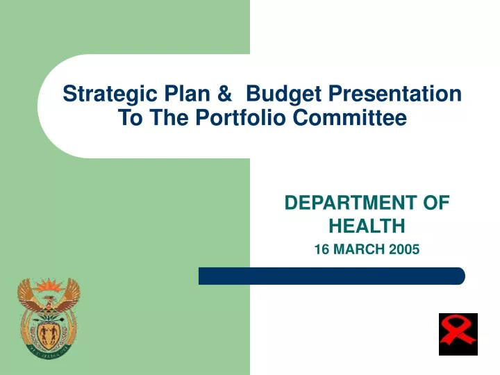 strategic plan budget presentation to the portfolio committee