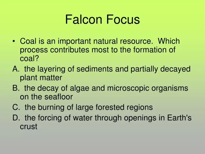 falcon focus