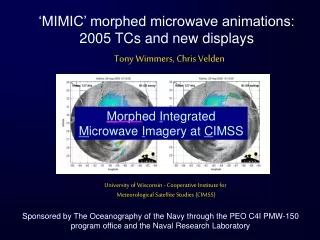 ‘MIMIC’ morphed microwave animations: 2005 TCs and new displays