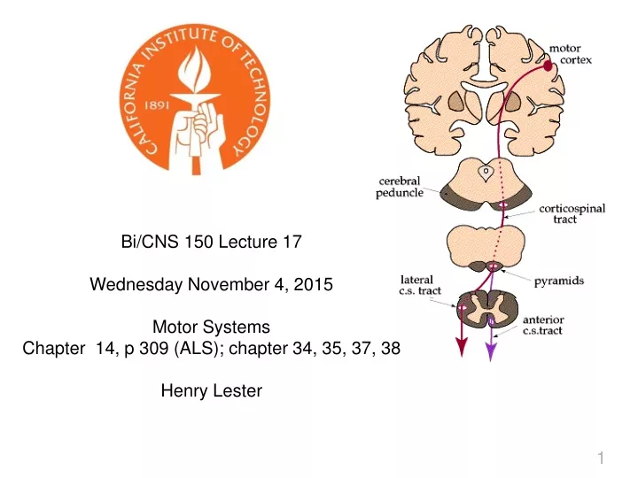 bi cns 150 lecture 17 wednesday november 4 2015