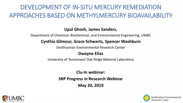 development of in situ mercury remediation