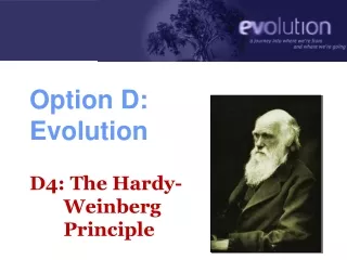 Option D: Evolution D4: The Hardy-        Weinberg           Principle