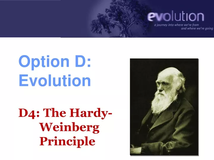 option d evolution d4 the hardy weinberg principle