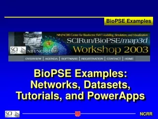 BioPSE Examples: Networks, Datasets, Tutorials, and PowerApps