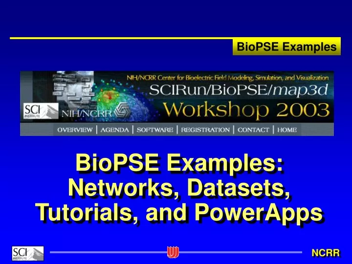 biopse examples networks datasets tutorials