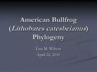 American Bullfrog ( Lithobates catesbeianus ) Phylogeny