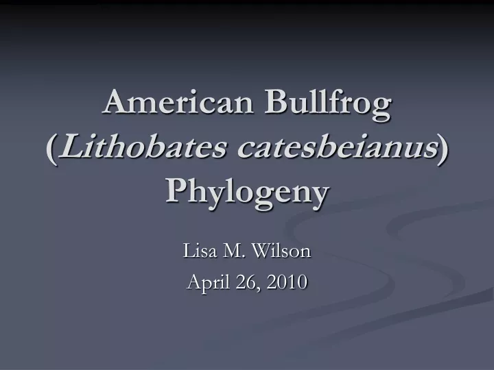 american bullfrog lithobates catesbeianus phylogeny