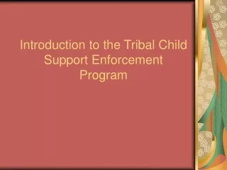 Introduction to the Tribal Child Support Enforcement Program
