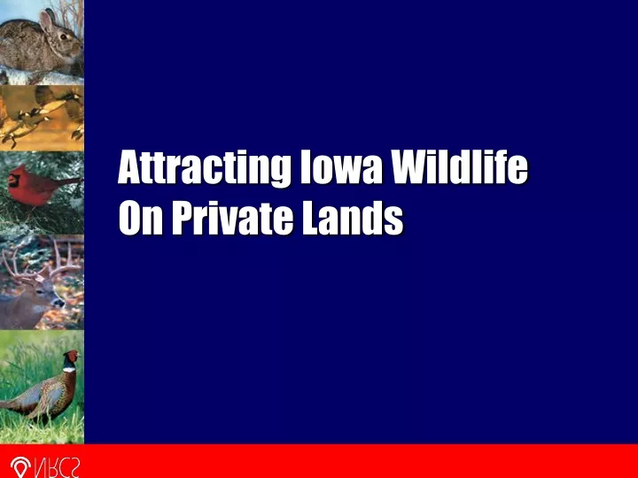 attracting iowa wildlife on private lands